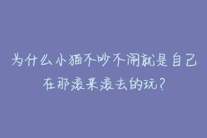 为什么小猫不吵不闹就是自己在那滚来滚去的玩？-动物百科