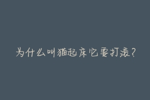 为什么叫猫起床它要打滚？-动物百科