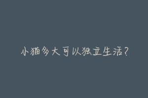 小猫多大可以独立生活？-动物百科