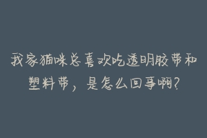 我家猫咪总喜欢吃透明胶带和塑料带,是怎么回事啊?-动物百科