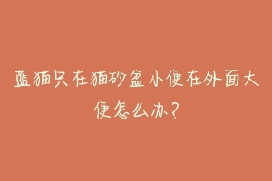 蓝猫只在猫砂盆小便在外面大便怎么办?-动物百科