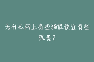 为什么网上有些猫很便宜有些很贵?-动物百科