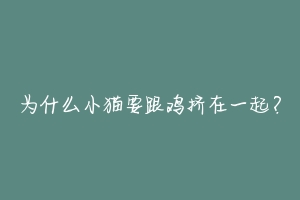 为什么小猫要跟鸡挤在一起?-动物百科