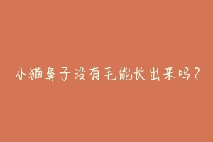 小猫鼻子没有毛能长出来吗?-动物百科