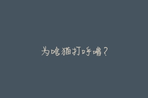 为啥猫打呼噜？-动物百科