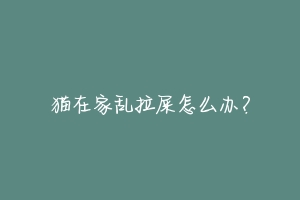 猫在家乱拉屎怎么办？-动物百科