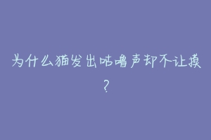 为什么猫发出咕噜声却不让摸？-动物百科