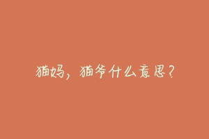 猫妈，猫爷什么意思？-动物百科