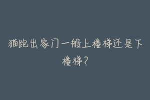 猫跑出家门一般上楼梯还是下楼梯？-动物百科