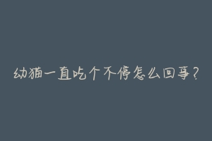 幼猫一直吃个不停怎么回事？-动物百科