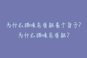 为什么猫咪总爱躬着个身子?为什么猫咪总爱躬？-动物百科
