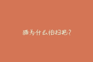 猫为什么怕扫把？-动物百科