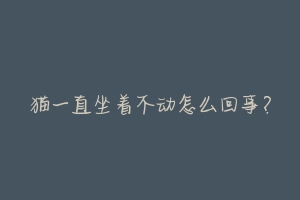 猫一直坐着不动怎么回事？-动物百科