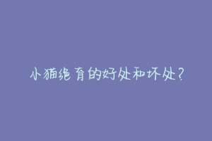 小猫绝育的好处和坏处?-动物百科