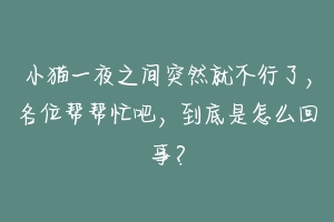 小猫一夜之间突然就不行了,各位帮帮忙吧,到底是怎么回事?-动物百科