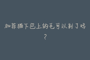 加菲猫下巴上的毛可以剃了吗?-动物百科