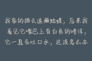 我家的猫去追癞蛤蟆,后来我看见它嘴巴上有白色的唾沫,它一直在吐口水,这该怎么办?-动物百科