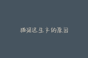 猫延迟生产的原因-动物百科