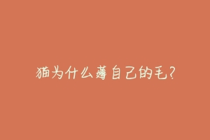 猫为什么薅自己的毛?-动物百科