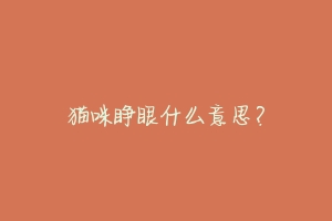 猫咪睁眼什么意思?-动物百科