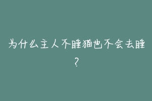 为什么主人不睡猫也不会去睡?-动物百科