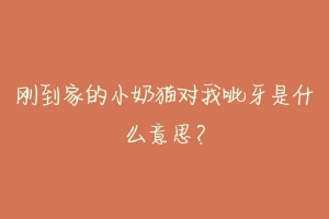 刚到家的小奶猫对我呲牙是什么意思?-动物百科