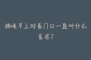 猫咪早上对着门口一直叫什么意思?-动物百科