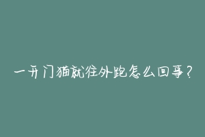 一开门猫就往外跑怎么回事?-动物百科