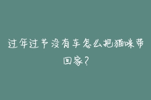 过年过节没有车怎么把猫咪带回家？-动物百科