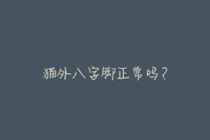 猫外八字脚正常吗?-动物百科