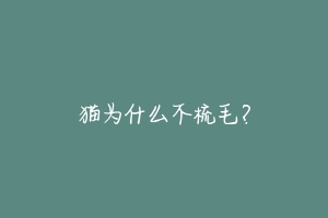 猫为什么不梳毛?-动物百科