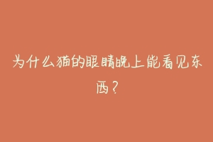 为什么猫的眼睛晚上能看见东西?-动物百科