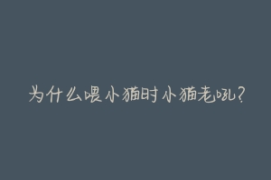为什么喂小猫时小猫老吼?-动物百科