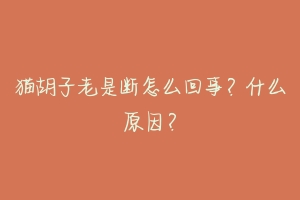猫胡子老是断怎么回事?什么原因?-动物百科