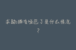 求助:猫变哑巴了是什么情况?-动物百科