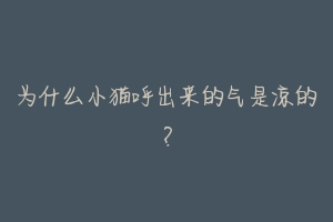 为什么小猫呼出来的气是凉的?-动物百科
