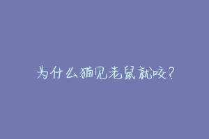 为什么猫见老鼠就咬?-动物百科