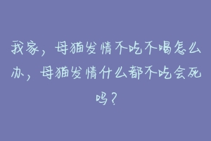 我家,母猫发情不吃不喝怎么办,母猫发情什么都不吃会死吗?-动物百科