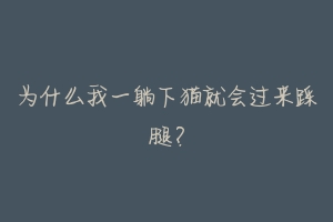 为什么我一躺下猫就会过来踩腿?-动物百科