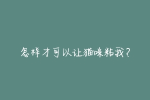 怎样才可以让猫咪粘我?-动物百科