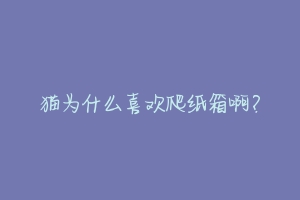 猫为什么喜欢爬纸箱啊?-动物百科