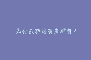 为什么猫没有肩胛骨?-动物百科