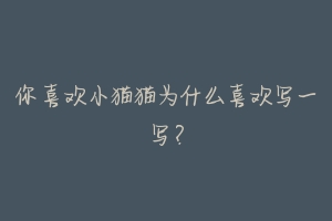 你喜欢小猫猫为什么喜欢写一写?-动物百科