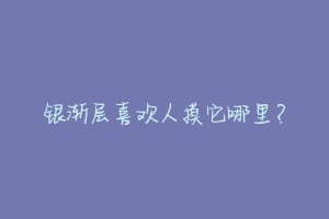 银渐层喜欢人摸它哪里?-动物百科