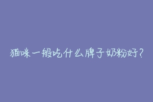 猫咪一般吃什么牌子奶粉好?-动物百科