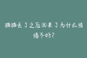 猫猫丢了之后回来了为什么情绪不好?-动物百科