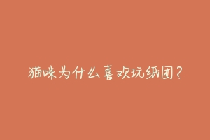 猫咪为什么喜欢玩纸团?-动物百科