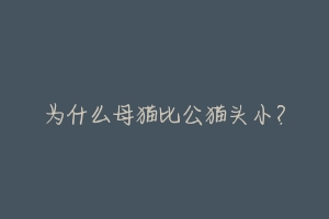 为什么母猫比公猫头小?-动物百科