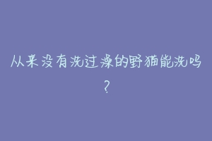 从来没有洗过澡的野猫能洗吗?-动物百科
