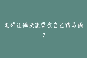怎样让猫快速学会自己蹲马桶?-动物百科
